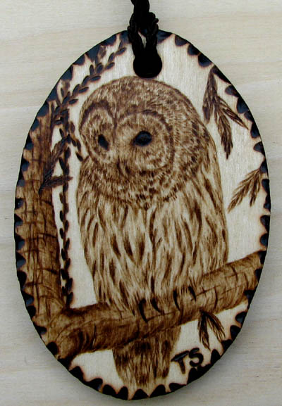 strix varia barred owl tanja sova pyrogaphy